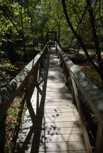 Bridge phobia: fear of bridges